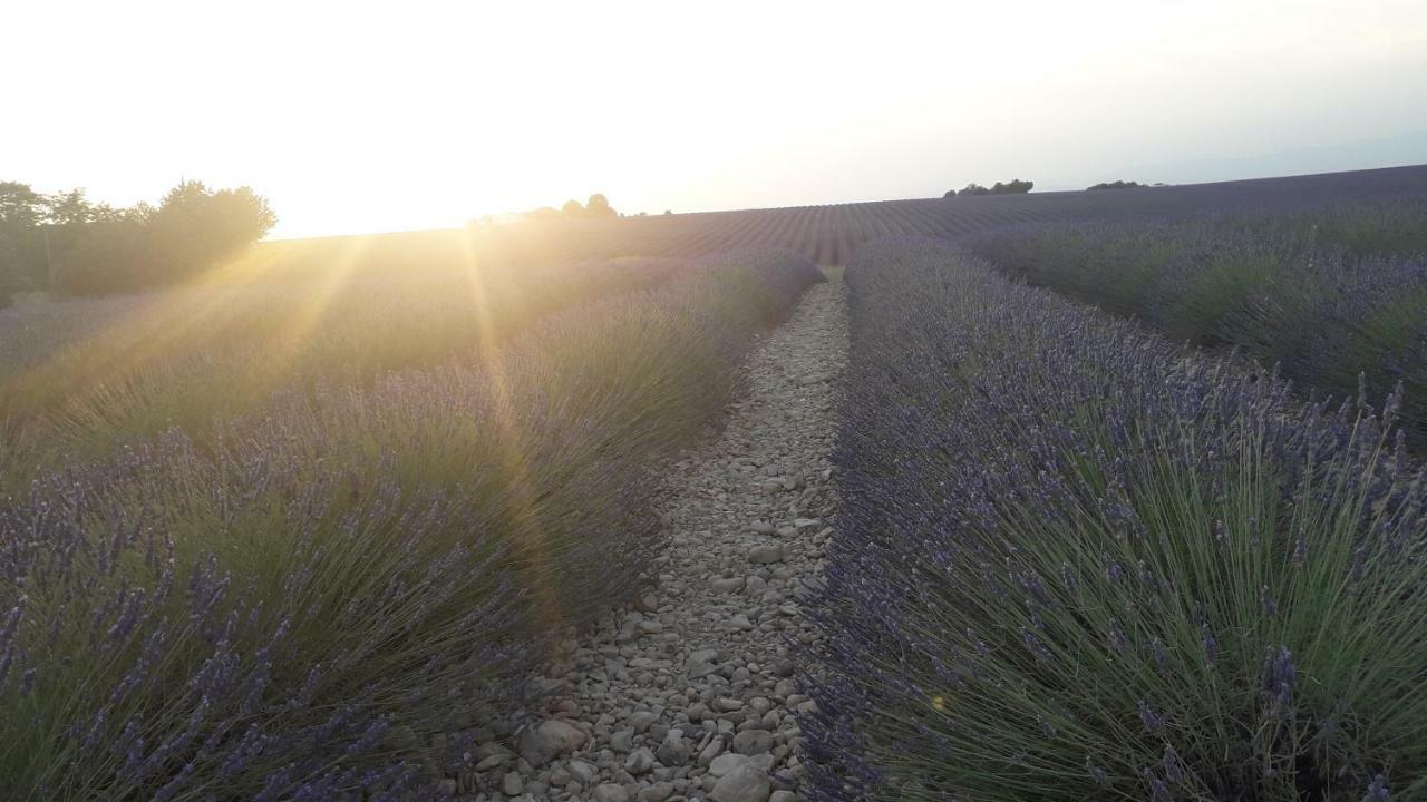 Le Mas Du Colombier กาเดอเนต์ ภายนอก รูปภาพ